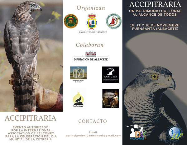 Accipitraria 2018