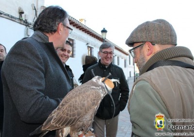 Congreso de Azorería ACCIPITRARIA