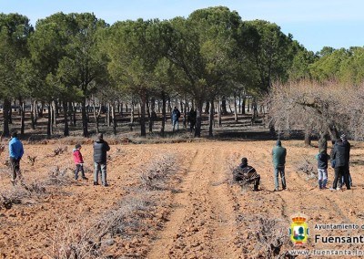 Congreso de Azorería ACCIPITRARIA