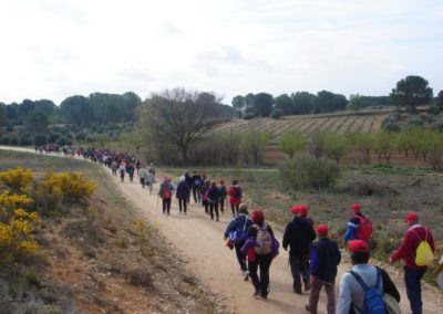 Ruta Senderista en Fuensanta