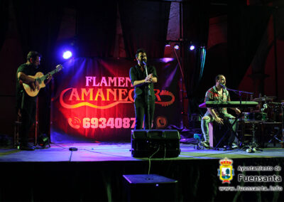 Flamenco Amanecer