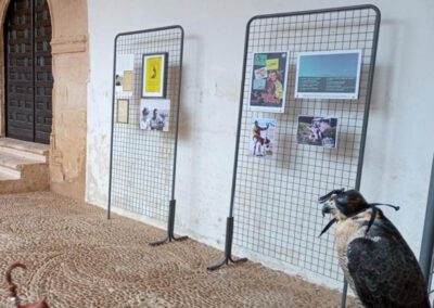 Exposición «Félix Rodríguez de la Fuente: Inicios de un Cetrero Naturalista»,