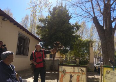 Terapia asistida con aves rapaces