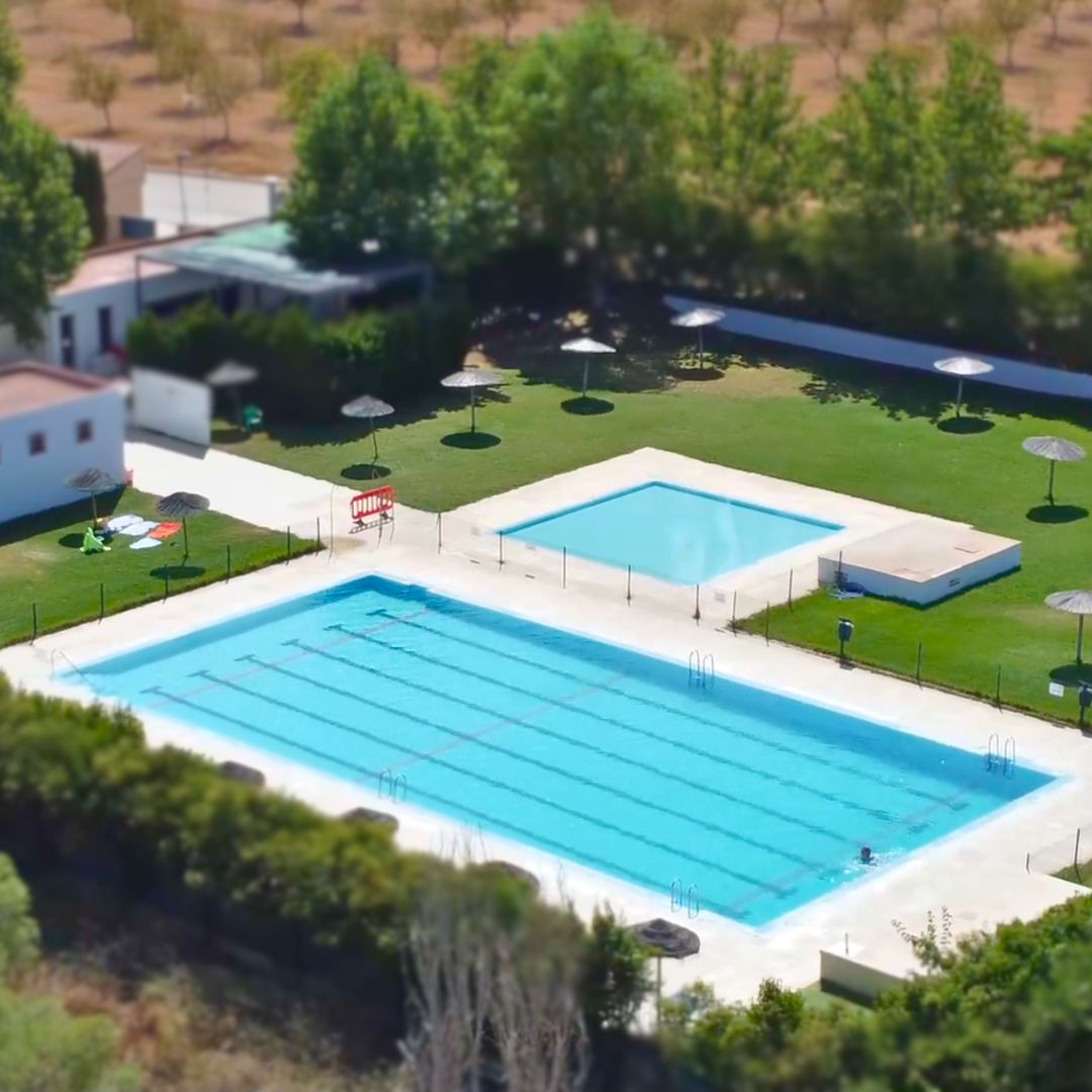licitación barra bar piscina municipal Fuensanta